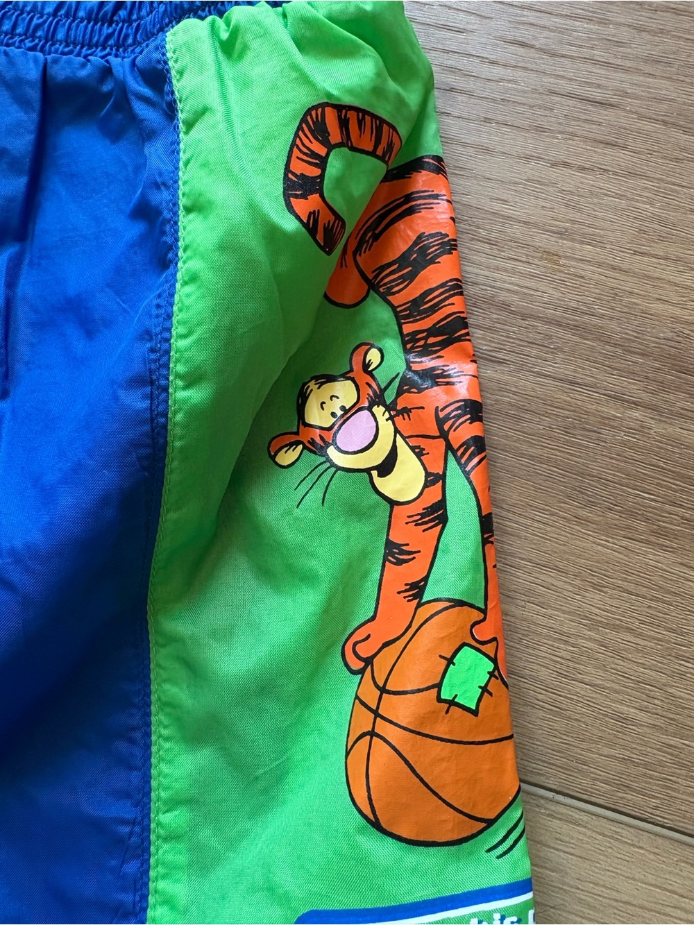Blue and Green Kids Swim Trunks with Tigger Graphic - Picture 2 of 6